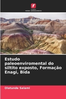 Estudo paleoenviromental do siltito exposto, Formação Enagi, Bida (Portuguese Edition) 6208077737 Book Cover