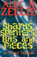 Shards, Splinters, Bits and Pieces B0FFDPFDHD Book Cover