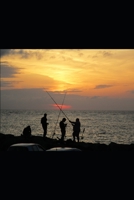 Freedom and Peace 1652257918 Book Cover