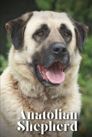 Anatolian Shepherd: How to train your dog and raise from puppy correctly B0CLDW16Z9 Book Cover