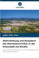 Wahrnehmung und Akzeptanz des Hochwasserrisikos in der Innenstadt von Ricatla (German Edition) 6203341037 Book Cover