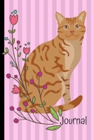 Journal: Anxiety Journal and Coloring Book 6x9 90 Pages Positive Affirmations Mandala Coloring Book Orange Tabby Cat Pink Cover 1707990816 Book Cover