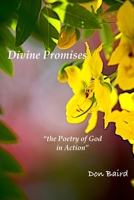 Divine Wisdom: the Poetry of God in Action 1312340177 Book Cover