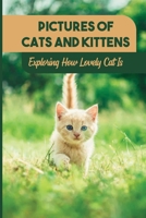 Pictures Of Cats And Kittens: Exploring How Lovely Cat Is: Real Pictures Of Kittens B09DMXMMKS Book Cover