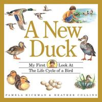 A New Duck : My First Look at the Life Cycle of a Bird (My First Look at Nature) 1550746138 Book Cover