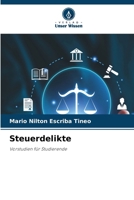 Steuerdelikte (German Edition) 6209996094 Book Cover