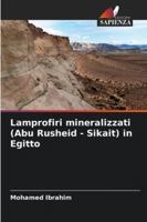Lamprofiri mineralizzati (Abu Rusheid - Sikait) in Egitto (Italian Edition) 6207651235 Book Cover