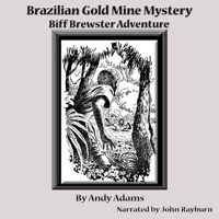 Brazilian Gold Mine Mystery B0007FF2RO Book Cover