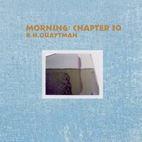 R. H. Quaytman: Morning--Chapter 30 3791355708 Book Cover