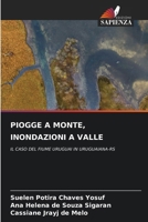 Piogge a Monte, Inondazioni a Valle (Italian Edition) 6200056390 Book Cover