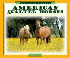 American Quarter Horses (Majestic Horses) 1626870012 Book Cover