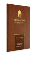 Piedras vivas: Lucas - Estudio bíblico: El salvador del mundo (Spanish Edition) B0DT8KYVPF Book Cover