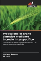 Produzione di grano sintetico mediante incrocio interspecifico: Triticum durum Desf x Aegilops tauschii Coss Con e senza salvataggio embrionale 6206017907 Book Cover