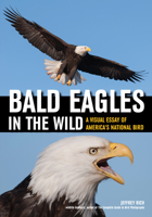 Bald Eagles In The Wild: A Visual Essay of America's National Bird 1682033287 Book Cover