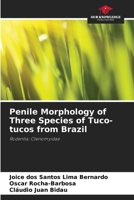 Penile Morphology of Three Species of Tuco-tucos from Brazil 6200741999 Book Cover