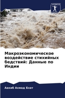 Макроэкономическое воз&# 6205724782 Book Cover