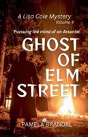 The Arsonist's Legacy (A Lisa Cole Mystery) B0G4MXB66W Book Cover