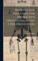 Beitr�ge Zur Anatomie Der Weiblichen Urogenitalorgane Des Orangutan. 1022553143 Book Cover