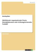 Mitfühlende organisationale Praxis. Einzelphänomen oder richtungsweisendes Vorbild? 3656935424 Book Cover