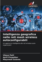 Intelligenza geografica nelle reti mesh wireless autoconfigurabili 6630235177 Book Cover
