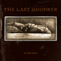 The Last Goodbye 0990973301 Book Cover