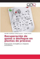 Recuperación de gases a desfogue en plantas de proceso 6138993713 Book Cover
