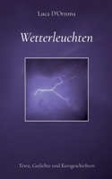 Wetterleuchten: Texte, Gedichte und Kurzgeschichten 375682229X Book Cover