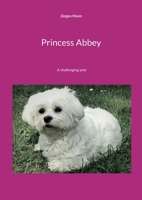 Princess Abbey: A challenging year 3734728681 Book Cover