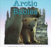 Arctic Babies 0802775047 Book Cover