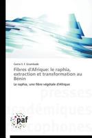 Fibres D'Afrique: Le Raphia, Extraction Et Transformation Au Ba(c)Nin 3838141075 Book Cover
