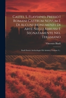 Castel S. Flaviano, Presso I Romani Castrum Novum E Di Alcuni Monumenti Di Arte Negli Abrussi E Segnatamente Nel Teramano: Studi Storici Archeologici Ed Artistici, Volume 4... 1021822965 Book Cover