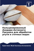 Кальцинированный Анада&# 6205729652 Book Cover