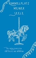 Rummelplatz meiner Seele: Die Möglichkeiten von Poesie und Wahnsinn 3755795205 Book Cover