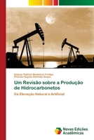 Um Revisão sobre a Produção de Hidrocarbonetos 6203470589 Book Cover