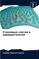 Стволовые клетки в пародонтологии 6204041169 Book Cover