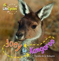 Lifecycles Joey to Kangaroo ScholBC Spanish 1595667407 Book Cover