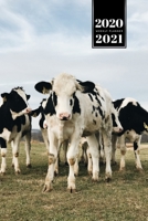 Cow Cattle Farming Farmer Week Planner Weekly Organizer Calendar 2020 / 2021 - Small Family: Cute Wildlife Animal Pet Bullet Journal Notebook Diary in 6” x 9” Inch Pocket Size 1675218587 Book Cover