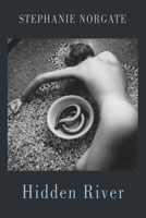 Hidden River 1852247967 Book Cover