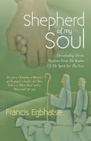 Shepherd of My Soul: Downloading Divine Mysteries from the Realms of the Spirit for the Now. 1449790003 Book Cover