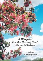 A Blueprint for the Hurting Soul- Glorying in Weakness 0615518346 Book Cover