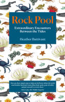 Rock Pool: Extraordinary Encounters Between the Tides 1912836122 Book Cover