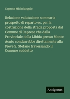 Relazione valutazione sommaria prospetto di reparto ec. per la costruzione della strada proposta dal Comune di Caprese che dalla Provinciale della ... il Comune suddetto (Italian Edition) 3563207356 Book Cover