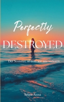 Perfectly Destroyed: Der Sommer, in dem wir uns verloren (German Edition) 369513464X Book Cover