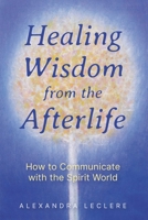Healing Wisdom from the Afterlife: How to Communicate with the Spirit World 1644118904 Book Cover