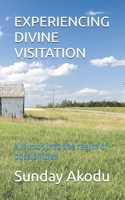 EXPERIENCING DIVINE VISITATION: a launch into the realm of possibilities B0F6L2QNF8 Book Cover