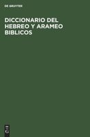 Diccionario del Hebreo Y Arameo Biblicos 3112307364 Book Cover