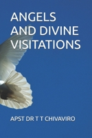 ANGELS AND DIVINE VISITATIONS B0F87VXVK9 Book Cover