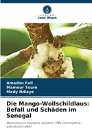Die Mango-Wollschildlaus: Befall und Schäden im Senegal: Rastrococcus invadens, williams, 1986 (homoptera: pseudococcidae) (German Edition) 6204413309 Book Cover