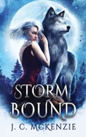 Stormbound 1990143059 Book Cover