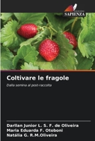 Coltivare le fragole: Dalla semina al post-raccolta (Italian Edition) B0CL5RY1YX Book Cover
